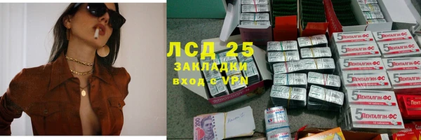 амф Ладушкин