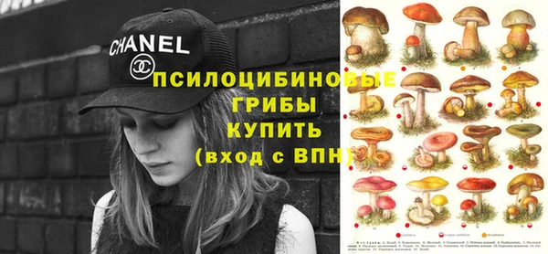 амф Ладушкин